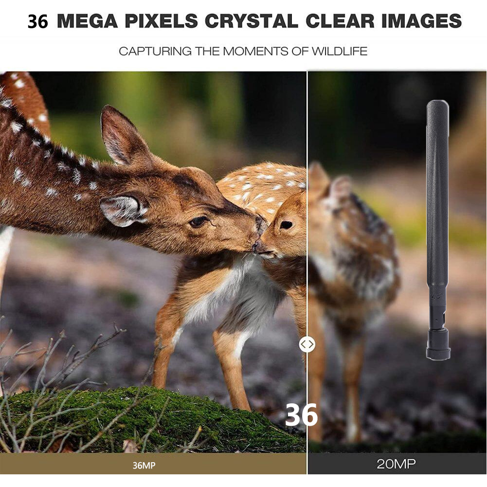 HC-801pro outdoor hunting came - Outdoor Hunting Pictures avaliação e preço